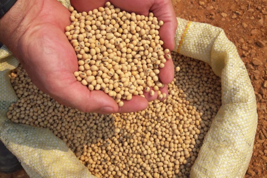 AGRONEGÓCIO - Governo divulga Boletim Informativo da Seagri sobre o agronegócio - News Rondônia