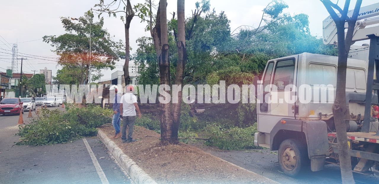 Chuva forte com rajadas de vento derruba árvores e danifica estrutura de Posto de Gasolina (Vídeo) - News Rondônia