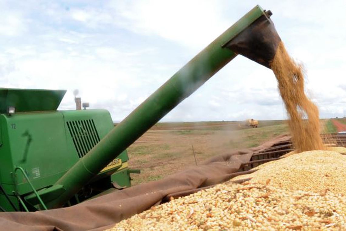 BRASIL AUMENTA PRODUTIVIDADE DE GRÃOS NA SAFRA 2018/2019 - News Rondônia