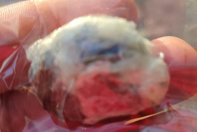 Jovem é detido com porção de maconha em Vilhena - News Rondônia