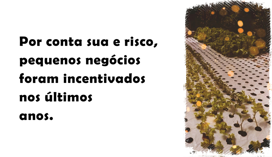 De vilarejo famoso, setor chacareiro quer avançar no agronegócio familiar e turismo - News Rondônia