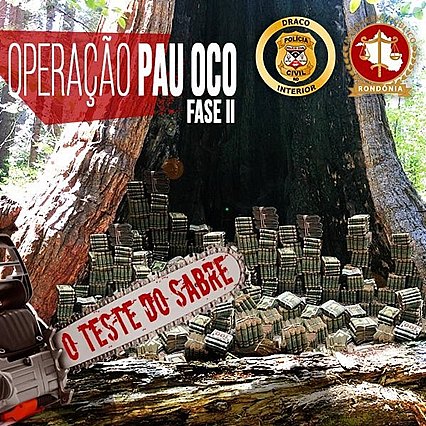 POLÍCIA CIVIL DEFLAGRA SEGUNDA FASE DA OPERAÇÃO PAU OCO - News Rondônia