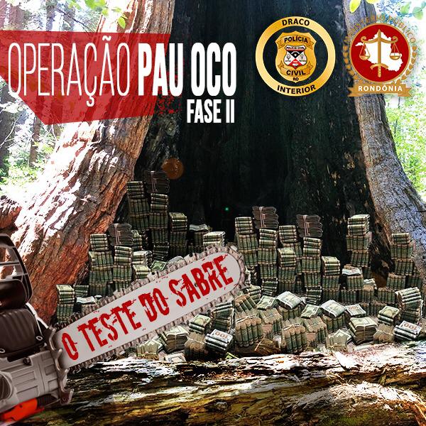 POLÍCIA CIVIL DEFLAGRA SEGUNDA FASE DA OPERAÇÃO PAU OCO - News Rondônia