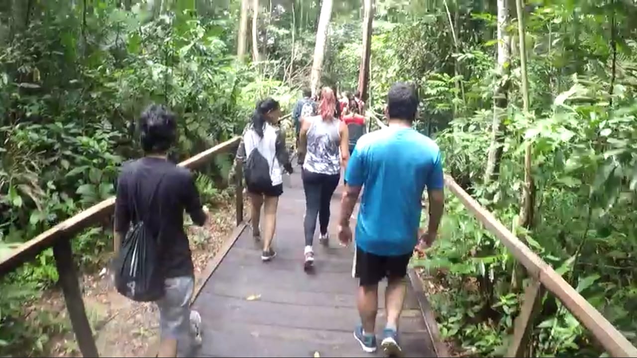 PREFEITURA APOIA GRUPO EM AÇÃO HUMANITÁRIA NO PARQUE NATURAL - News Rondônia