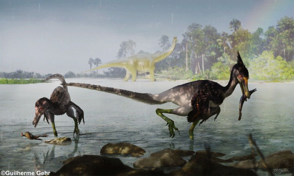 Estudo brasileiro descreve dinossauro que viveu no período Cretáceo - News Rondônia