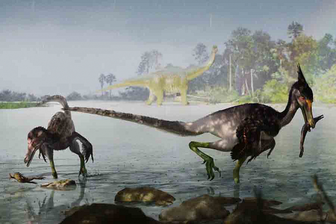 Estudo brasileiro descreve dinossauro que viveu no período Cretáceo - News Rondônia