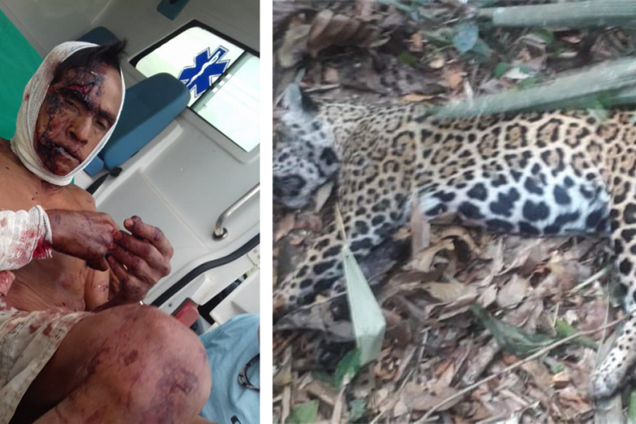 Traumatizado após ataque de onça no Cone Sul, indígena de 67 anos que abateu felino não sai mais de casa para caçar - News Rondônia