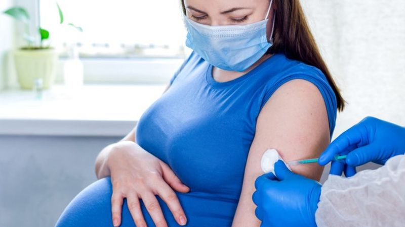 Covid-19: Brasil deveria ter priorizado CoronaVac ou Pfizer para gestantes, dizem médicas e cientistas - News Rondônia