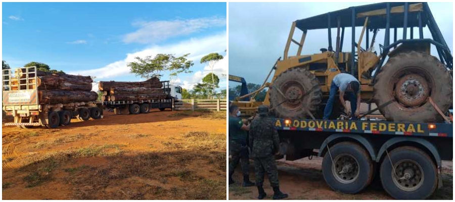 Multa no valor de R$ 30 mil e envolvidos de Rondônia presos suspeitos no furto de madeira - News Rondônia