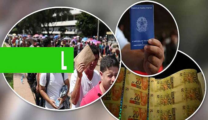 De acordo com membro da equipe de Paulo Guedes, Desemprego vai disparar em setembro - News Rondônia