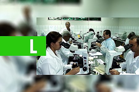 LABORATÓRIO CENTRAL CAPACITA MAIS 170 TÉCNICOS PARA ATUAR NO DIAGNÓSTICO E INVESTIGAÇÃO DE CASOS DE MALÁRIA EM RONDÔNIA - News Rondônia