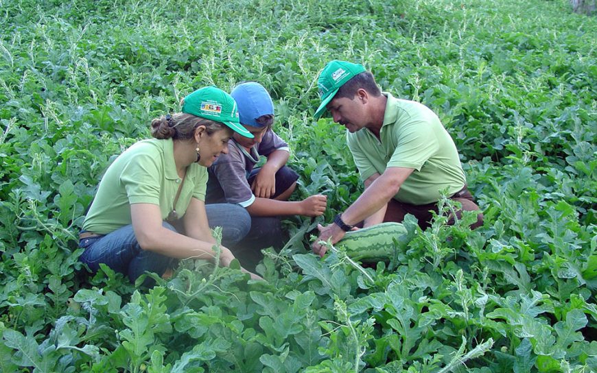 Parceria entre Governo de Rondônia e instituição financeira estimula crédito rural e fortalece o agronegócio - News Rondônia