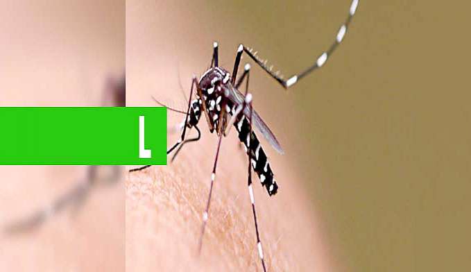 AGEVISA REALIZA ENCONTRO DE CAPACITAÇÃO PARA PROFISSIONAIS DE SAÚDE SOBRE DENGUE E OUTRAS DOENÇAS - News Rondônia