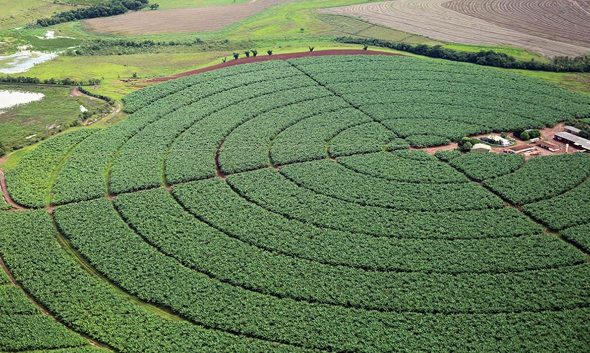 Governo fixa ações para avaliar importação de produtos agropecuários - News Rondônia