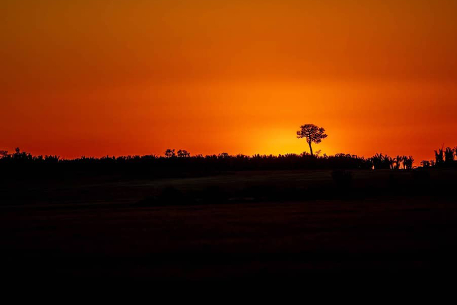Calor intenso, temporais com chuvas fortes, queda de granizo e raios; cenário vai marcar a última semana de setembro - News Rondônia