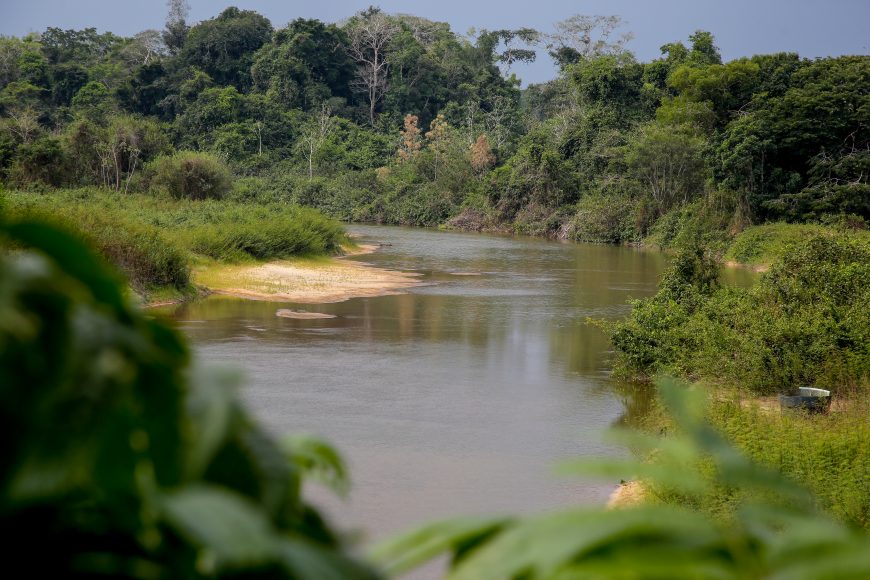 Investimentos para o georreferenciamento de unidades de conservação de Rondônia são analisados pelo Ibama - News Rondônia