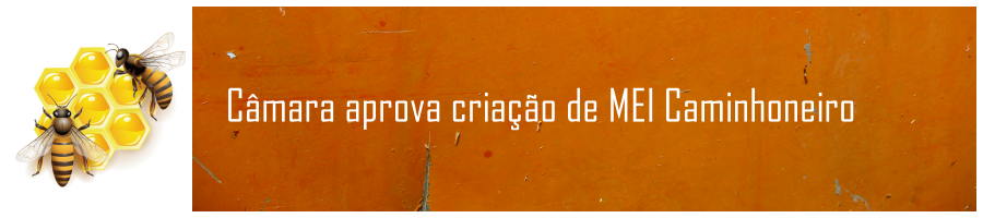 Coluna do Simpi  Câmara aprova criação de MEI Caminhoneiro - News Rondônia
