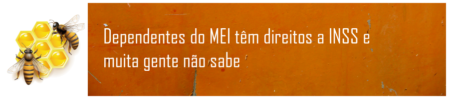 Coluna do Simpi  Câmara aprova criação de MEI Caminhoneiro - News Rondônia