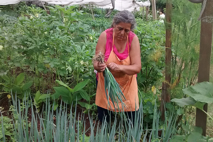 Quintais produtivos são ferramenta para inclusão socioprodutiva e geração de renda para mulheres agricultoras de RO - News Rondônia