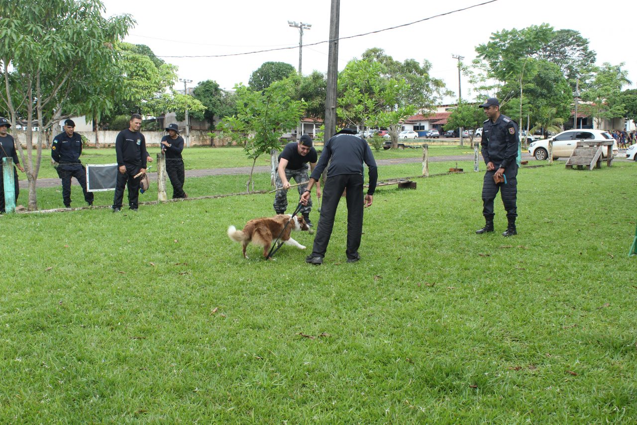 CONFIRA: POLÍCIA MILITAR FORMA 3ª TURMA DO CURSO DE CINOTECNIA - News Rondônia