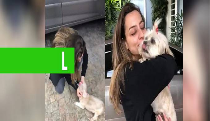 EMOÇÃO: REAÇÃO DE CACHORRA AO REENCONTRAR DONA APÓS QUATRO ANOS (VÍDEO) - News Rondônia
