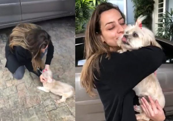 EMOÇÃO: REAÇÃO DE CACHORRA AO REENCONTRAR DONA APÓS QUATRO ANOS (VÍDEO) - News Rondônia