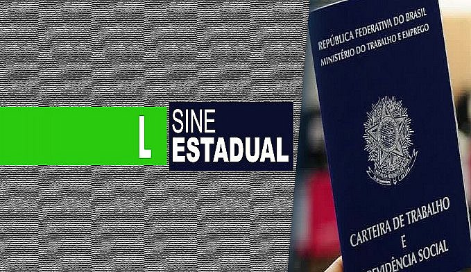 👉 SINE ESTADUAL - PORTO VELHO: OPORTUNIDADE DE EMPREGO PARA 26.02.2019 - (TERÇA-FEIRA) - News Rondônia