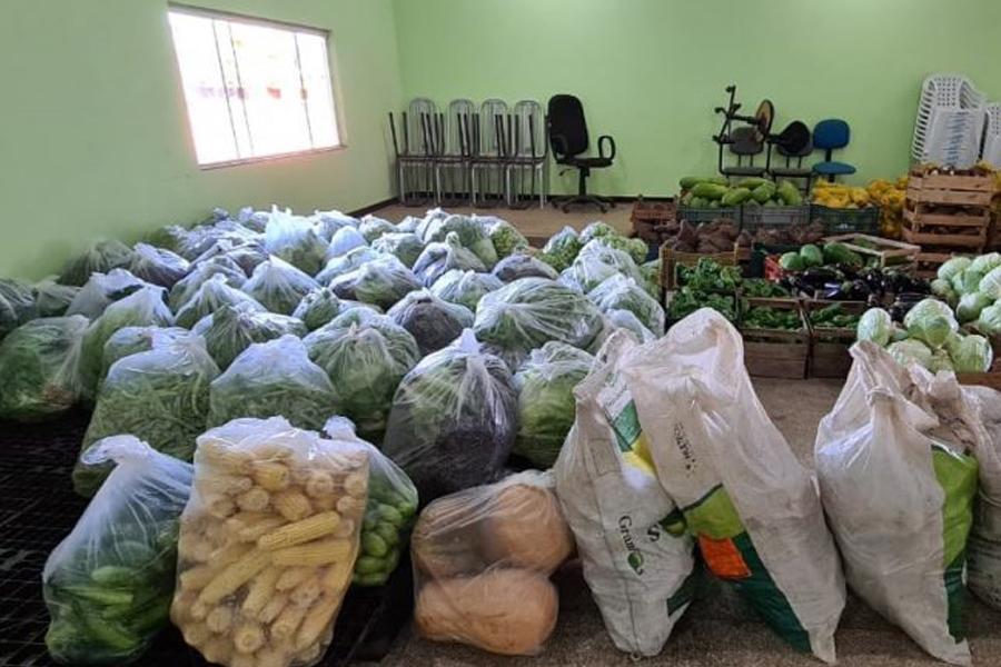 Produtores do Cone Sul enviam propostas para participar do Programa de Aquisição de Alimentos Estadual 2021 - News Rondônia