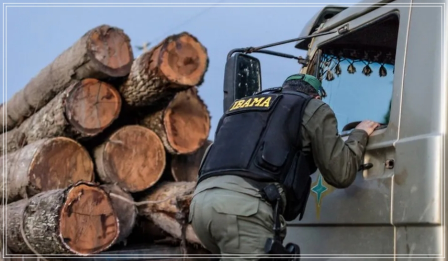 Ibama: órgão até tentou combater o desmatamento, mas operações foram mínimas, revela estudo - News Rondônia