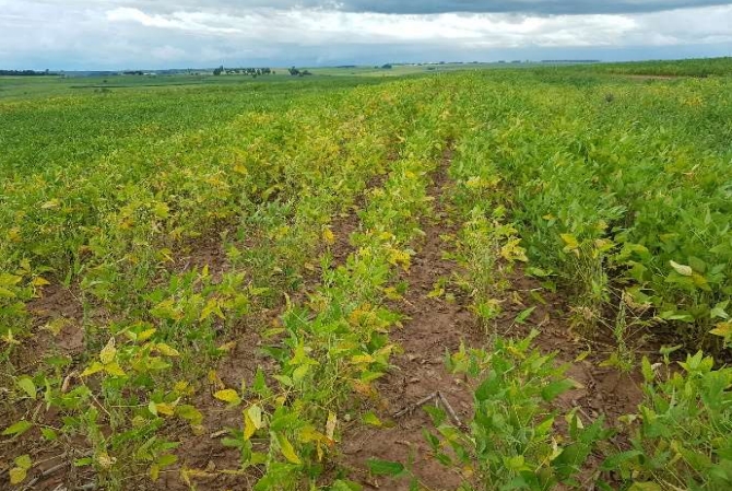Aviso de sinistro tardio pode inviabilizar perícia no campo - News Rondônia