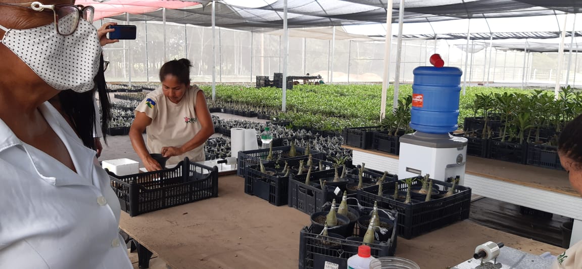 Deputado pede criação de força tarefa federal e estadual integrada para atuar em conflito agrário - News Rondônia