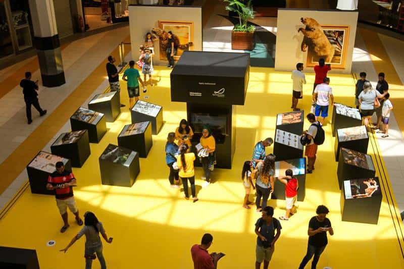 APRESENTANDO O PORTAL DO MADEIRA - POR JOSÉ CARLOS SÁ - News Rondônia