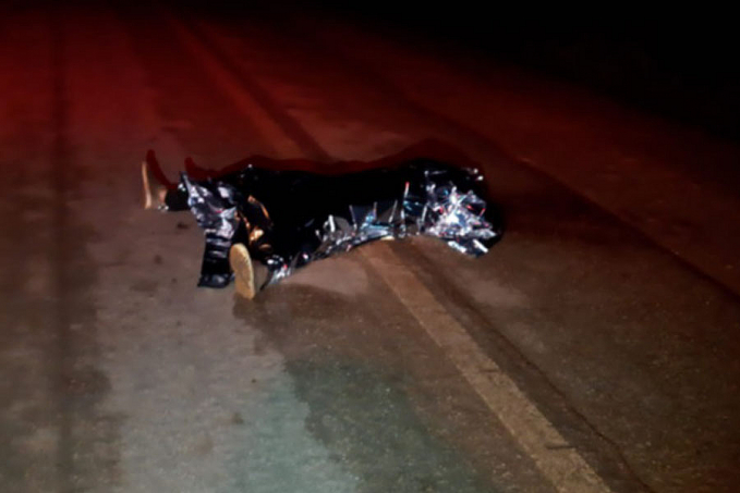 Homem é encontrado morto atropelado na BR-319 em Porto Velho - News Rondônia
