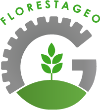 Requerimento da Licença Ambiental: TBFORTE SEGURANCA E TRANSPORTE DE VALORES LTDA - News Rondônia