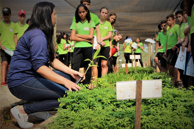 Dia do Voluntariado: voluntários da Ecoporé relatam experiência de atuar em projetos socioambientais na Amazônia - News Rondônia