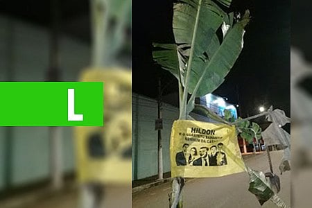 PROTESTO - BANANEIRAS AMANHECEM PLANTADAS EM VÁRIOS BURACOS POR TODA A CIDADE - FOTOS - News Rondônia