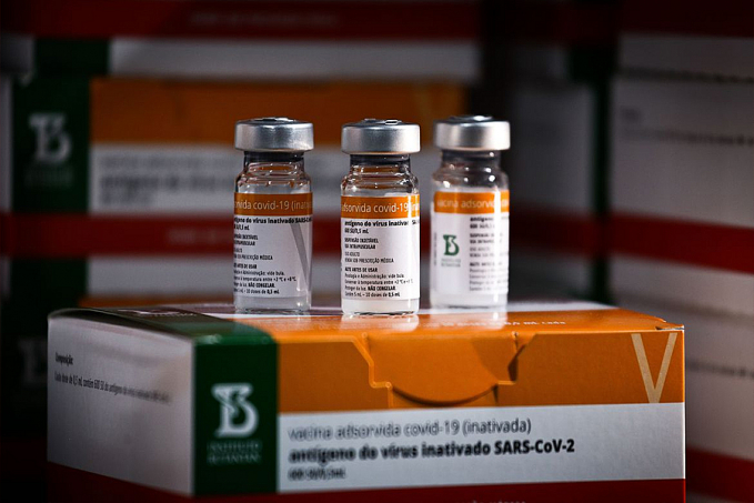 Estudo analisa eficácia de doses de reforço para quem tomou Coronavac - News Rondônia