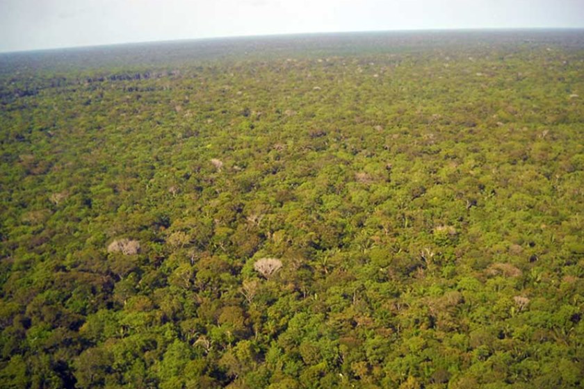 MPF NO PARÁ INVESTIGA AUMENTO NO DESMATAMENTO E QUEIMADAS NA AMAZÔNIA - News Rondônia