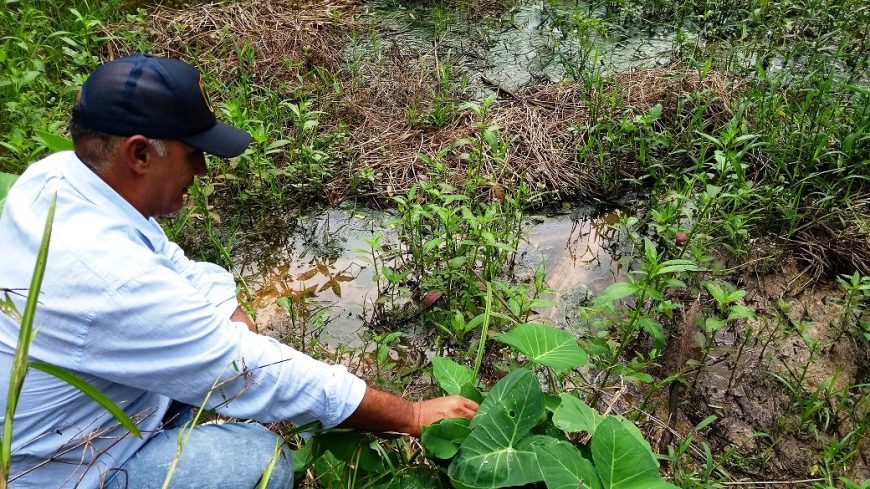 DEPOIS DO CAR, PRODUTOR RURAL DE RONDÔNIA DEVERÁ ADERIR AO PROGRAMA DE REGULARIZAÇÃO DE ÁREAS DEGRADADAS - News Rondônia