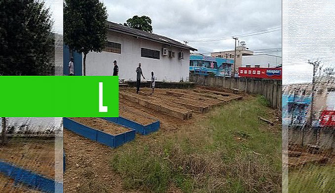 COLÉGIO TIRADENTES DE JI-PARANÁ IMPLANTA HORTA ORGÂNICA PARA DIVERSIFICAÇÃO ALIMENTAR DA MERENDA ESCOLAR - News Rondônia