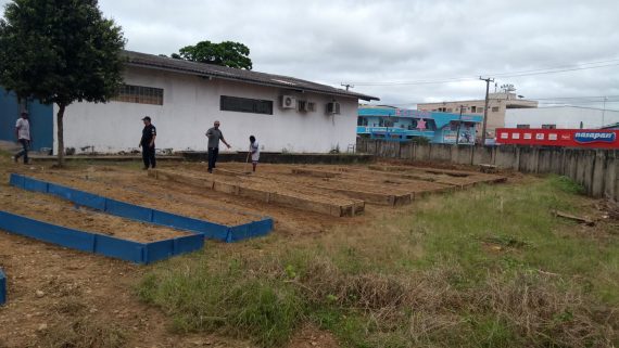 COLÉGIO TIRADENTES DE JI-PARANÁ IMPLANTA HORTA ORGÂNICA PARA DIVERSIFICAÇÃO ALIMENTAR DA MERENDA ESCOLAR - News Rondônia