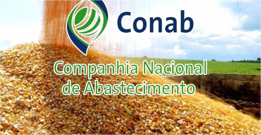 CONAB ADOTA MEDIDAS PARA DAR CONTINUIDADE AOS SERVIÇOS PÚBLICOS E DE INTELIGÊNCIA AGRÍCOLA - News Rondônia