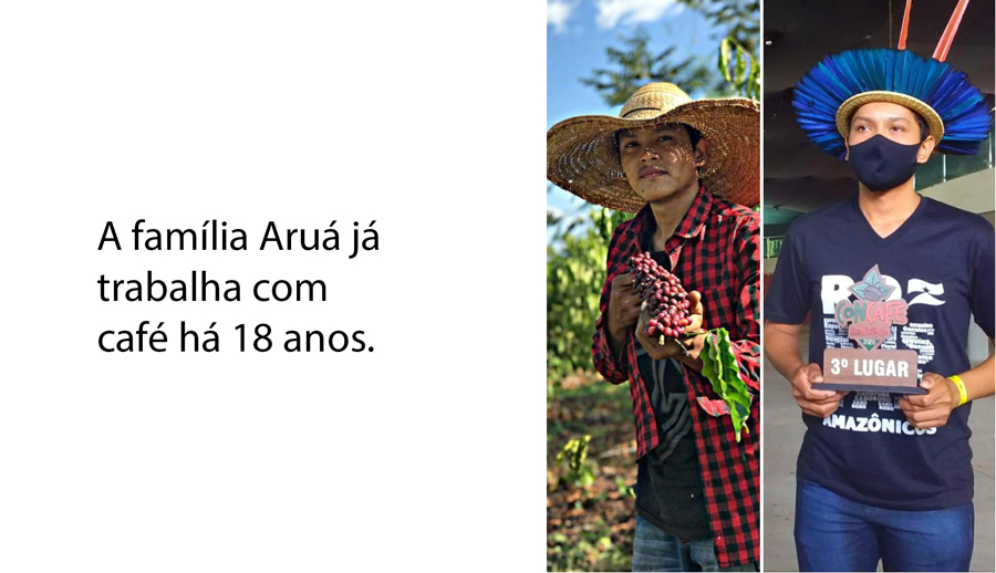 Jovem cafeicultor indígena segue o legado do pai e leva o 3º lugar no Concafé 2020 - News Rondônia