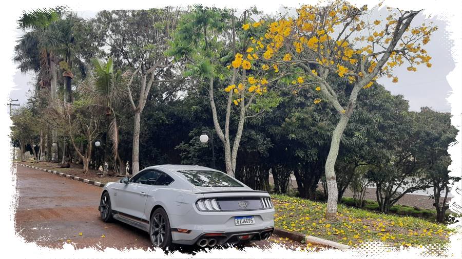 Ford Mustang Mach 1 é puro prazer e emoção [vídeo] - News Rondônia