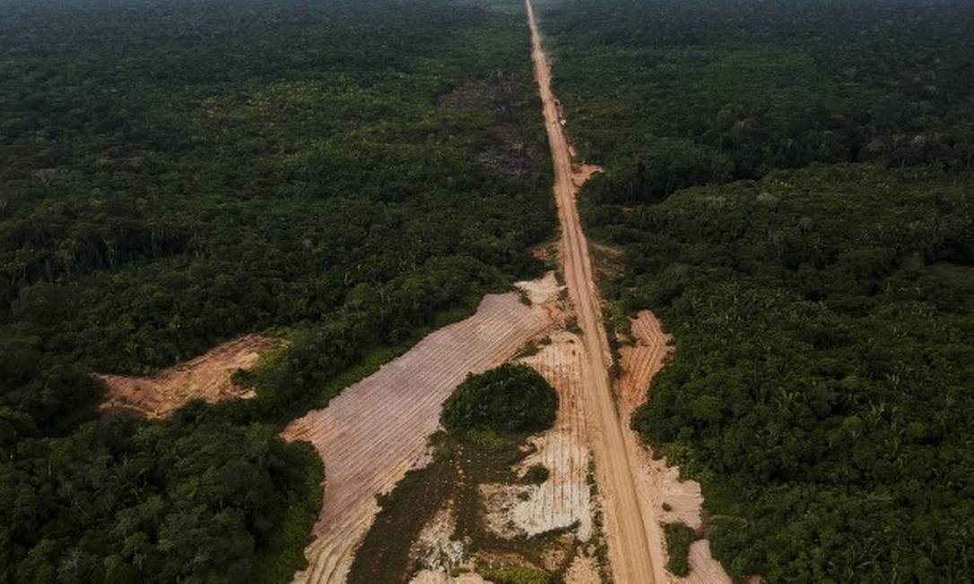 Grupo de 17 empresas de bens de consumo lançam aliança contra desmatamento - News Rondônia
