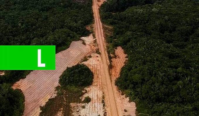 Grupo de 17 empresas de bens de consumo lançam aliança contra desmatamento - News Rondônia