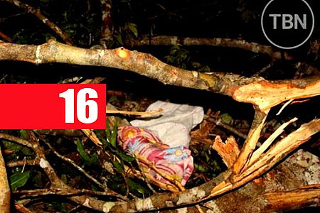 DUAS PESSOAS MORREM E DEZ FICAM FERIDAS APÓS QUEDA DE ÁRVORE EM BURITIS - News Rondônia