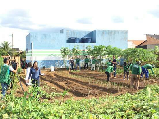 CURSO DE OLERICULTURA ORGÂNICA É REALIZADO COM IMPLANTAÇÃO DE HORTA COMUNITÁRIA EM ARIQUEMES - News Rondônia