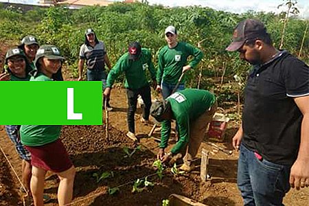 CURSO DE OLERICULTURA ORGÂNICA É REALIZADO COM IMPLANTAÇÃO DE HORTA COMUNITÁRIA EM ARIQUEMES - News Rondônia