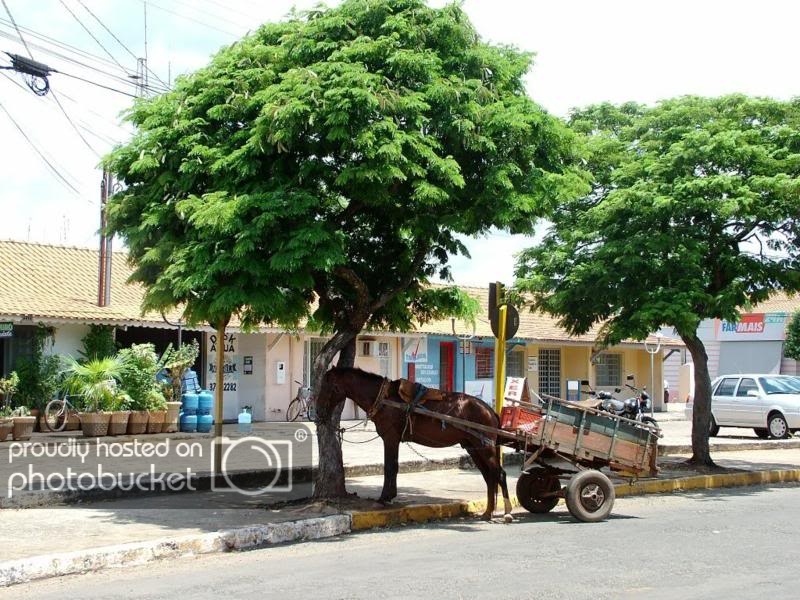 POLÍTICA & MURUPI: MANTENHA DISTÂNCIA - News Rondônia